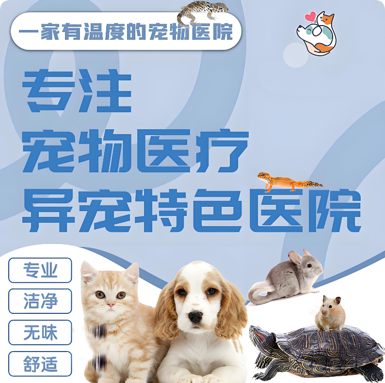 QQ_1749439237574.png
